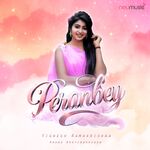 Peranbey Movie Poster